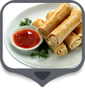 Indo Chinese Lounge Veg. Restaurant Franchise india